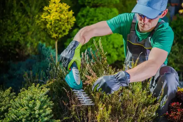 landscaping services Gahanna
